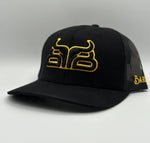 Baredown Curved SnapBack